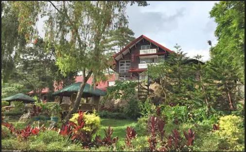 Log Cabin Hotel - Baguio Baguio City Extérieur photo